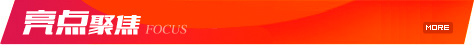 亮点聚焦