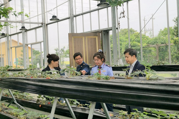 盛世莲花现代农业园调研.jpg