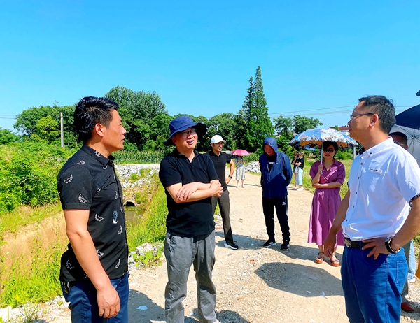 吴振亚主委在秋江街道调研耕地非粮化情况.jpg