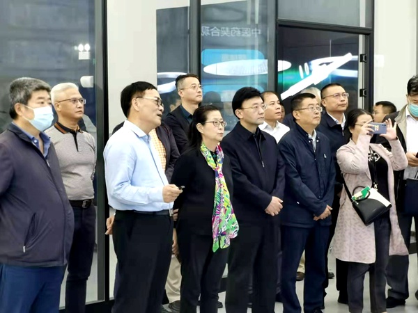 林凯带队在赣江新区调研.jpg