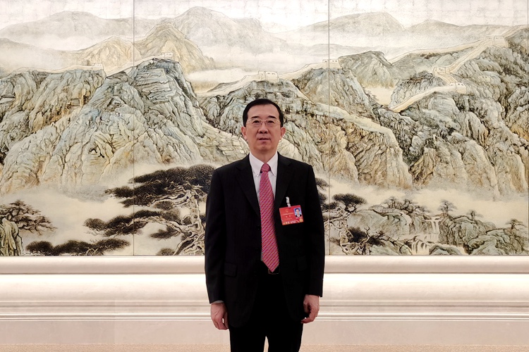 杨震代表：关于对《中华人民共和国妇女权益保障法》有关条款完善修改的议案