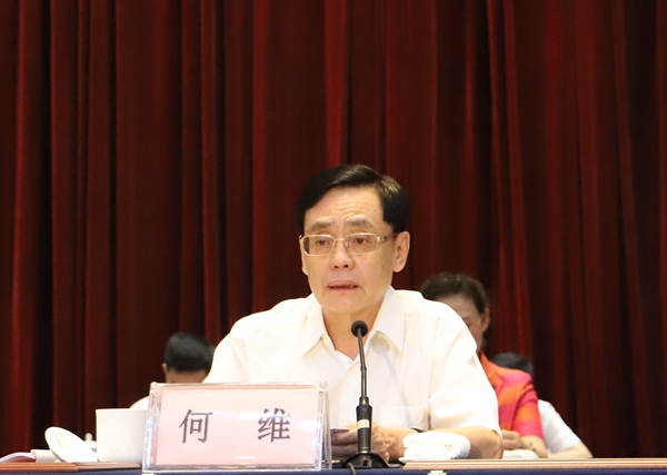 何维讲话.jpg