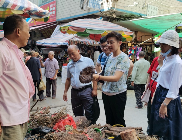 调研组考察上思县农贸集市中草药摊点.jpg