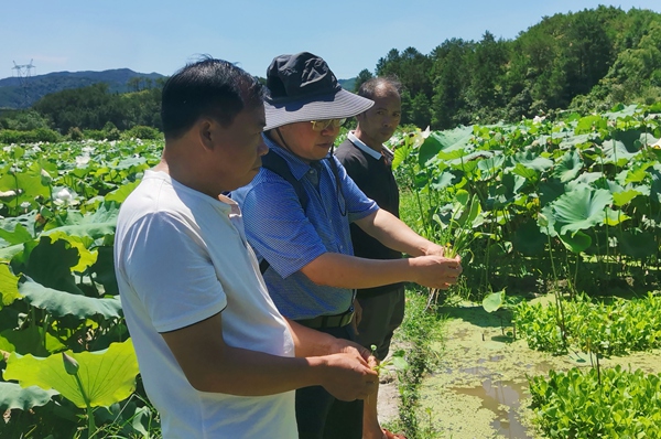 05 省委会开展乡村振兴系列服务活动.jpg