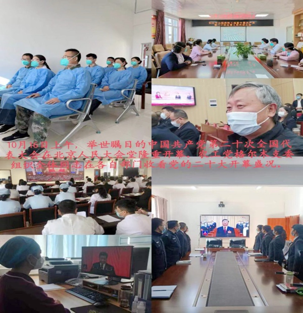 格尔木支委会党员通过各种方式观看二十大开幕式.jpg