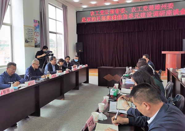 双柏县人民医院召开座谈会.jpg