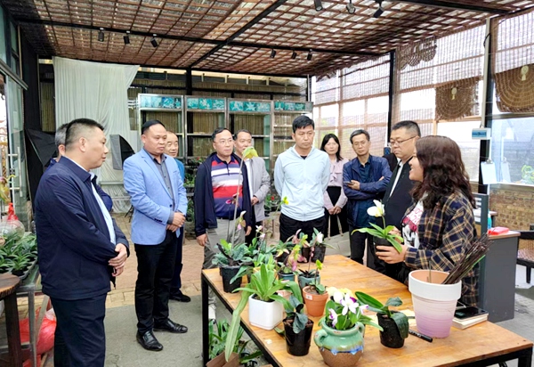 调研组在贵州绿缘动植物科技有限公司万峰林兜兰基地考察调研_副本.jpg