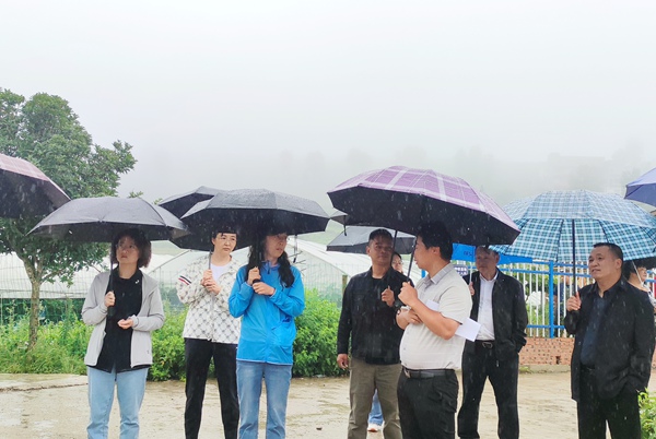 调研组一行开展实地调研.jpg