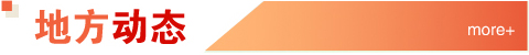 地方动态