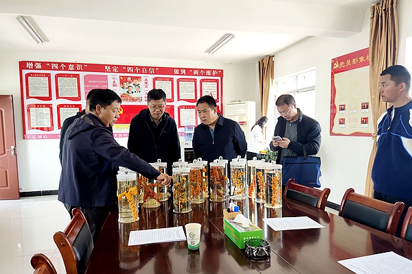 调研现场2.jpg