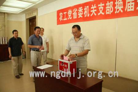 参加农工党黑龙江省委会机关支部换届选举大会的党员在投票(一)