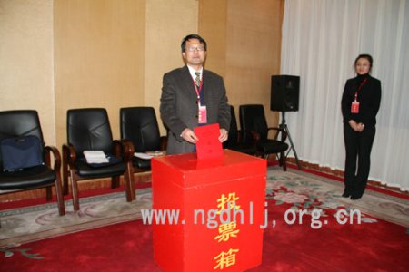 党员举行投票选举