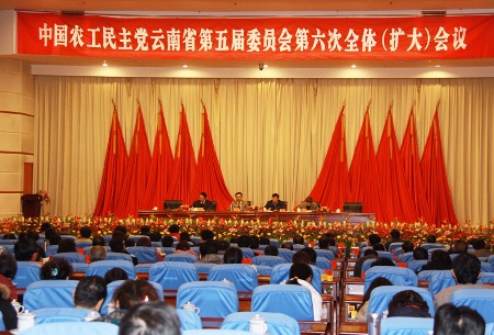 农工党云南省委进行届中调整