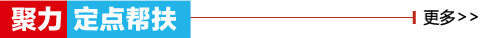 聚力定点帮扶