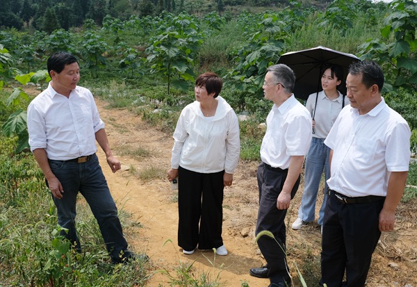 参观泡桐基地.jpg