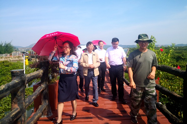 参观北仑河口红树林保护基地.jpg