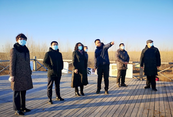 QQ图片20201124091044.jpg