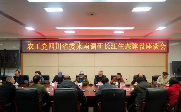 调研组一行在南溪区召开座谈会.JPG