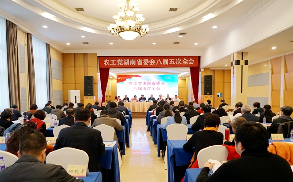 农工党湖南省委会八届五次全会在长沙召开