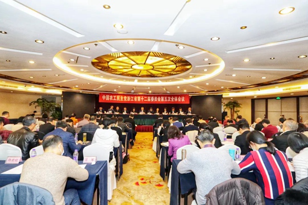 全会现场.jpg