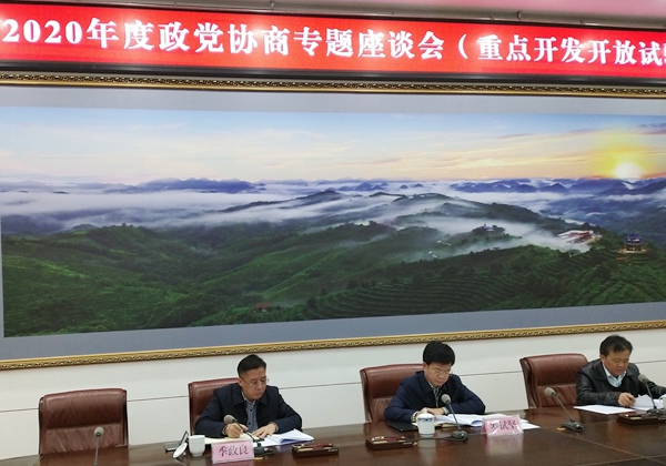 图为农工党百色市委在百色市政党协商专题座谈会上建言试验区建设.jpg