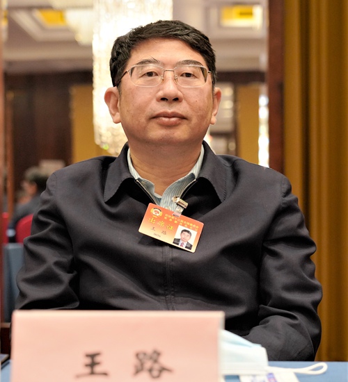 王路委员海南大健康产业大有可为