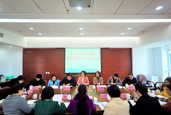 座谈.jpg