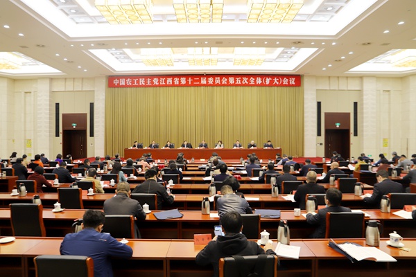 会议举行开幕会议.jpg