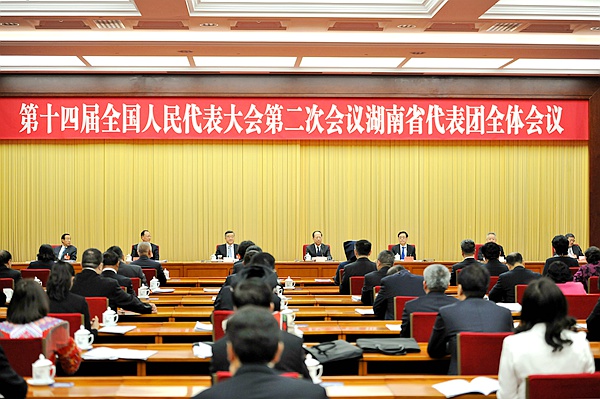 第十四届全国人民代表大会第二次会议湖南代表团全体会议会场.JPG