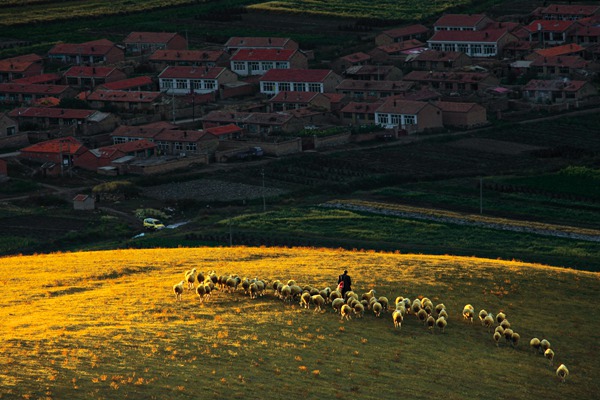 庆祝农工党成立90周年美术摄影作品展——摄影篇十四